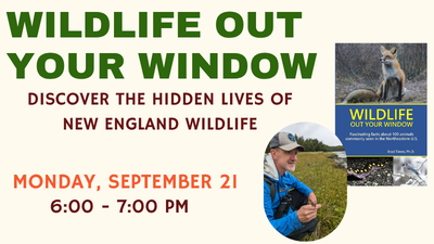 Wildlife Out Your Window Discover the Hidden Lives of New England Wildlife Monday, September 21 6:00 - 7:00pm